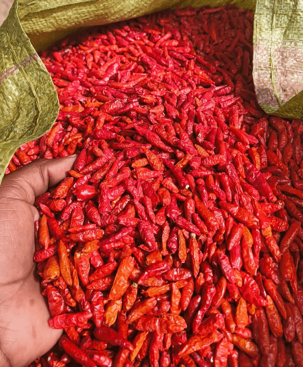 Dried Red Chillies Whole